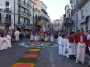infiorata (120)